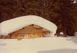 Jack Barker's cabin at Tutizzi Lake in winter