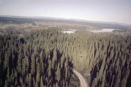 Aerial photograph of Aleza Lake Research Forest