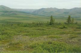 Richardson Mts, Arctic Circle lookout, Dempster Hwy - 02