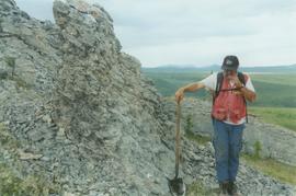 Limestone tors, N Ogilvie Mts, Dempster Hwy - 08