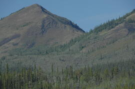 South flank of Volcano Mountain