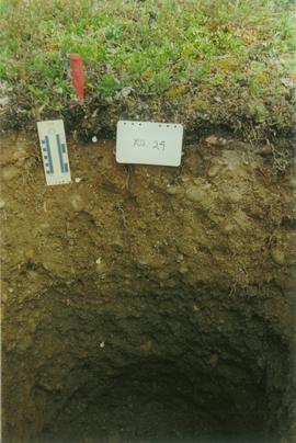 Y02-24 Div Ck soil, km 566 Klondike Hwy - 05