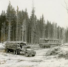 Pulpwood Logging Operations on P.T.S. X91960, Swamp Lake, Prince George Pulp and Paper Ltd. showing landing with use of pre-loading trailers and a Cat 988 rubber-tired loader