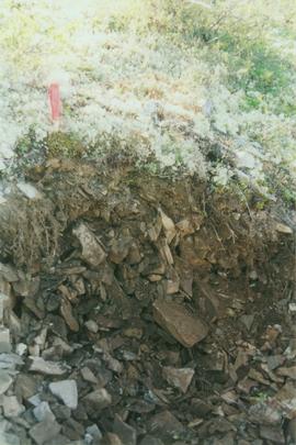 Sandstone residual soil site, Eagle Plains - 03