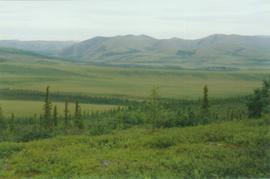 Richardson Mts, Arctic Circle lookout, Dempster Hwy - 07
