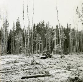 Pulpwood Logging Operations on P.T.S. X91960, Swamp Lake, Prince George Pulp and Paper Ltd. showing small clearcuts and rubber-tired skidders