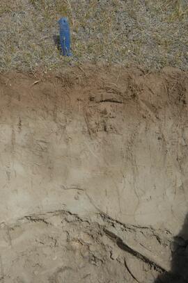 Kluane Lake soil at site Y08-41