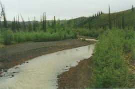 Red Creek, km 168 Dempster Hwy - 01