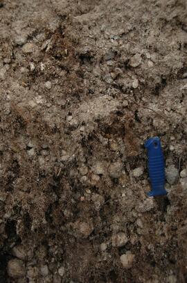 Klutlan Glacier soil detail at site Y07-06