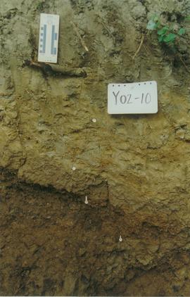 Y02-10 (E 15 Mile Gleysol - upper paleosol) - 08