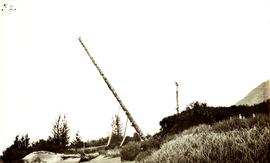 Falling totem pole, Nass River, BC