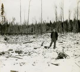 Pulpwood Logging Operations on P.T.S. X91960, Swamp Lake, Prince George Pulp and Paper Ltd. showing typical conditions after pulp logging
