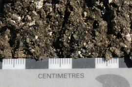 Klutlan Glacier soil crust at site Y07-09