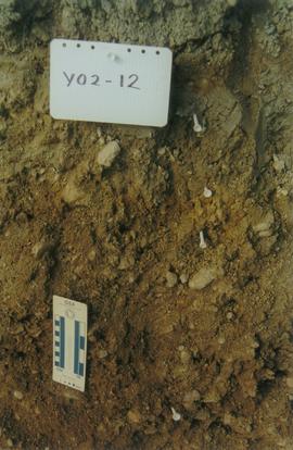 Y02-12 (E 15 Mile Luvisol - lower paleosol) - 03
