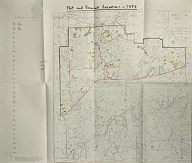 Plot and Transect Locations, 1993