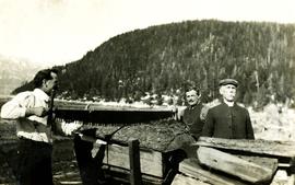Archdeacon W.H. Collison  hauling wood with sons in Kincolith, BC