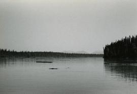 T.F.L. #30 - View of McGregor Plateau with McGregor Mountains on horizon and Fraser River with Limestone Creek in foreground