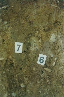 Y02-25  Div Ck soil on Reid terrace, McQuesten R - 12