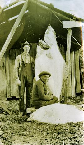 Arthur Collison and 'Noah' standing with catch at Kincolith, BC