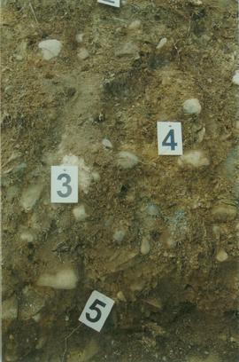 Y02-25  Div Ck soil on Reid terrace, McQuesten R - 10