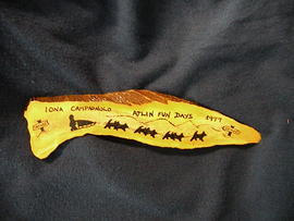 Souvenir inscribed antler from Atlin Fun Days