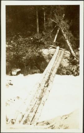 Log Pole Bridge at Canyon Creek, BC