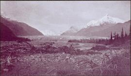 Taku River Survey - Mountain Landscape