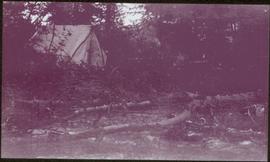 Taku River Survey - Tent in Forest