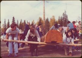 Skeena Riding tour - Iona Campagnolo assists in raising a totem pole carved by Walter Harris, Kispiox, BC