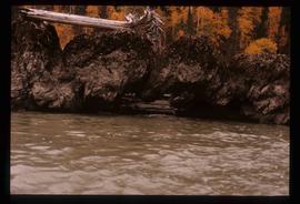 Fraser River - Rocks