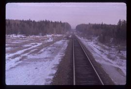 Rail Road Tracks