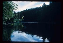 Stellako River