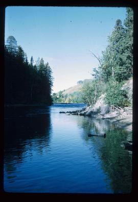 Stellako River