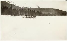 Dogsled team dragging loaded sled through the snow with musher alongside