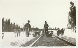 Two men and a dog sled team standing on the railroad tracks