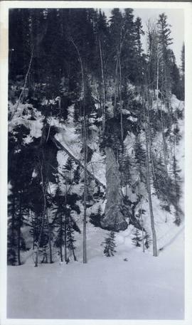 Landscape shot - A snow-covered hillside littered with fallen trees