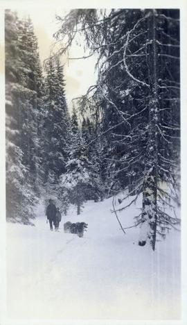 Two men following a dog sled team