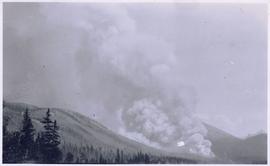 Forest fire burning on mountainside
