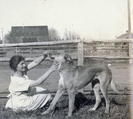 A woman playing with a dog