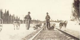 Two men and their dog sled team on the railroad tracks