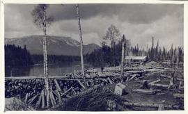 A man standing upon logs scatterd about in a log yard