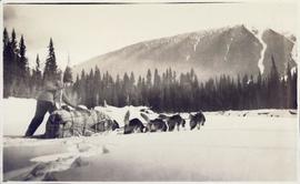 Dogsled team dragging loaded sled through the snow with musher alongside