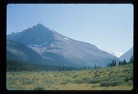 Mt. Robson Provincial Park
