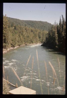 Cariboo River