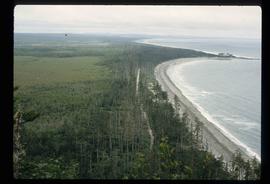 Coast of Haida Gwaii