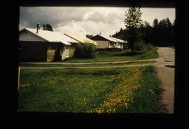 Row of Houses in Upper Fraser, BC