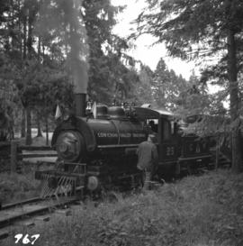 Locomotive #25 at the Cowichan Valley Forest Museum