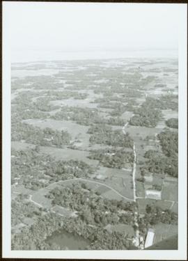 Aerial view of forest and farms