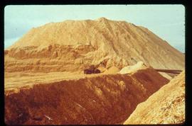 Pulpmill - General - Front end loader in front of a mountain of wood chips