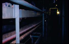 Pulpmill - General - Wood chips on conveyor belt